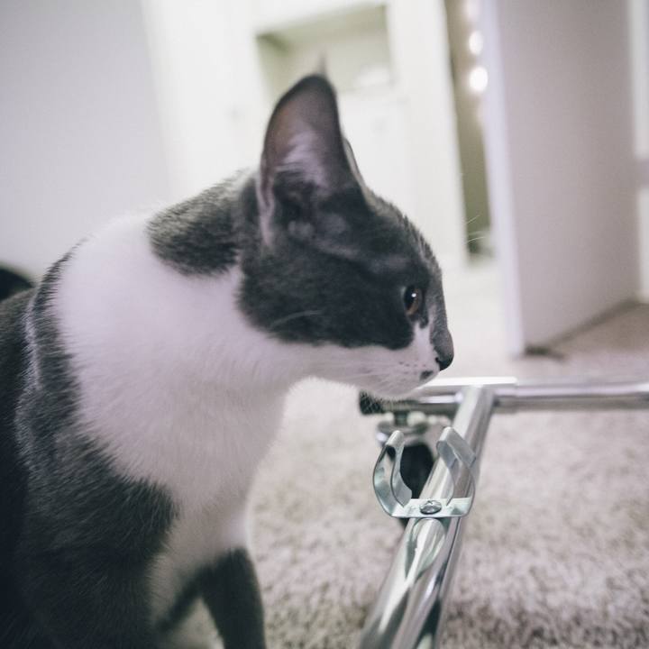 0df7e5f3 1d59 45e2 8895 71ee5d517e6c