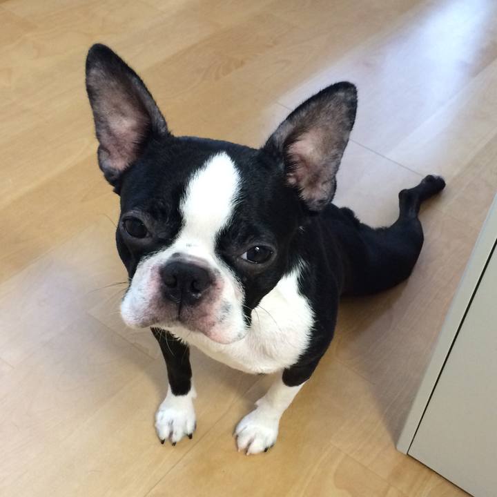 0df7f79f f4ed 452d b986 b411dacbb5a1