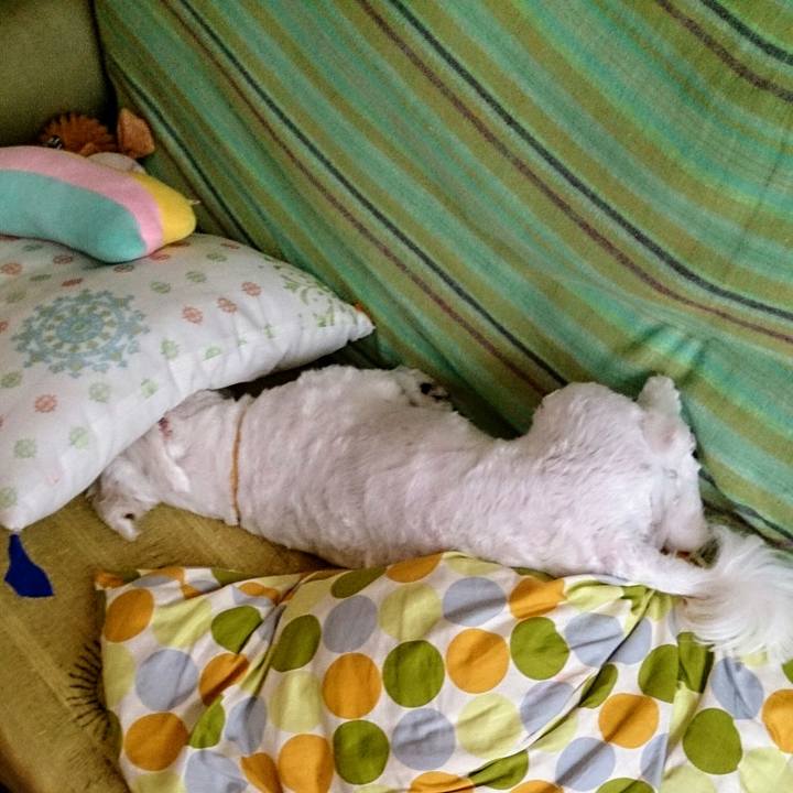 0df864c0 04b6 4879 836e b10650492750