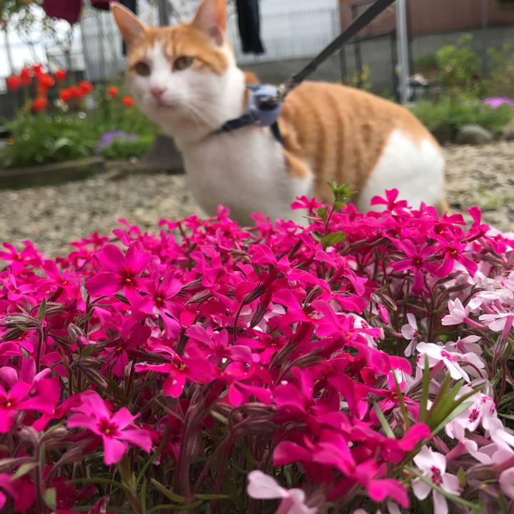 0df87f0d 949b 41ee 8ee4 cc6133c7ed5d