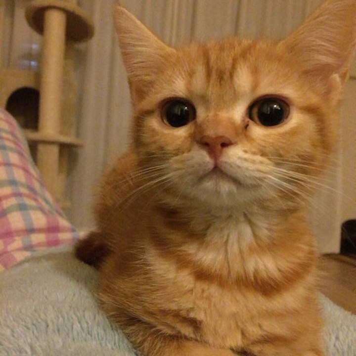 0df8cb24 bce2 4c28 bb87 85115af4a99a