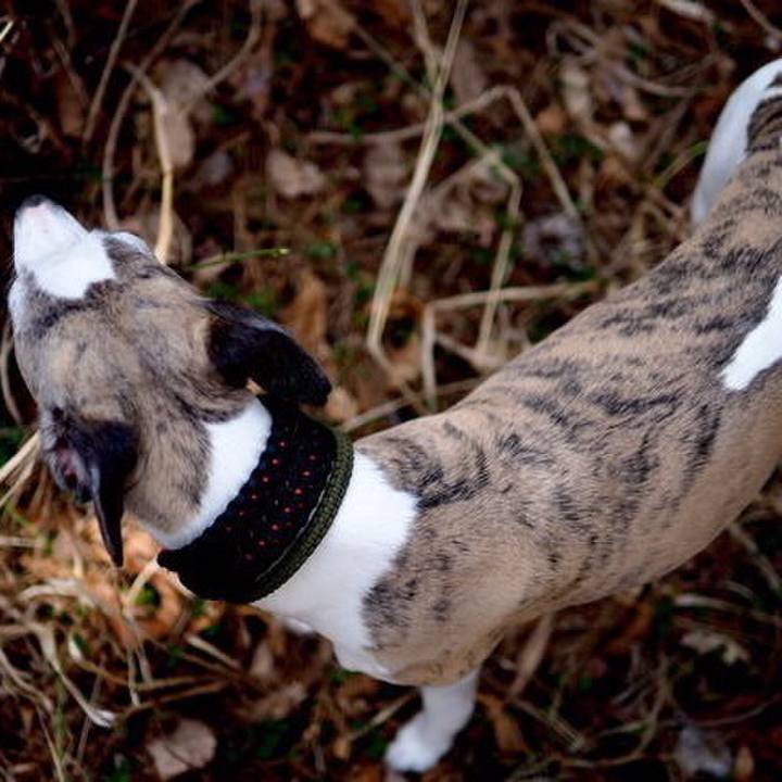 0dfa00f7 ea32 4c4d aab8 9c12a83475e2