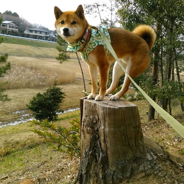 0dfa34af b08f 4e2b a5f9 67a5965cfecc