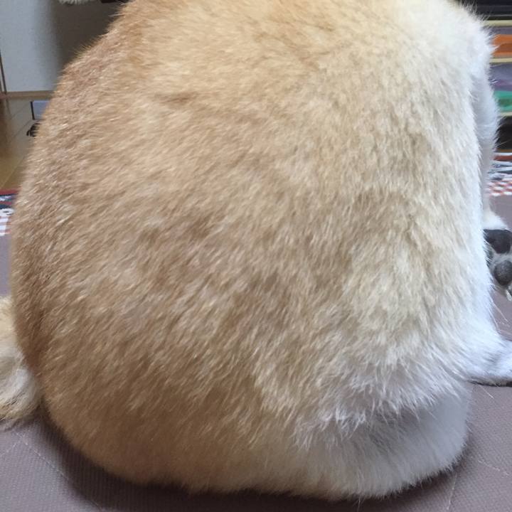 0dfab1d4 5f62 4ee3 b8bc f5ef86579073