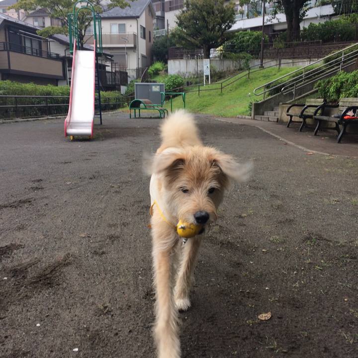 0dfaf799 b3b6 4358 a22c f5f5a5209975