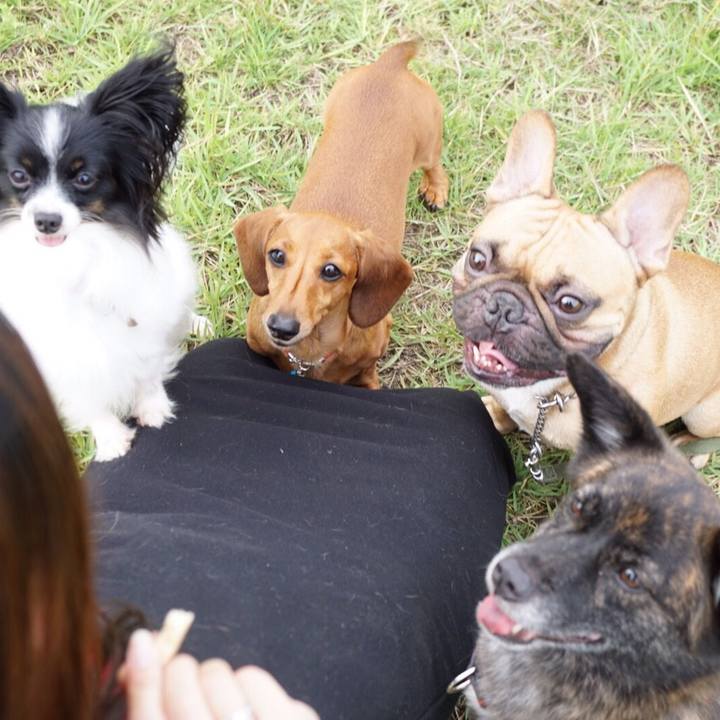 0dfafb9d 9aa5 4ddd 9f9d 478fcccf6936