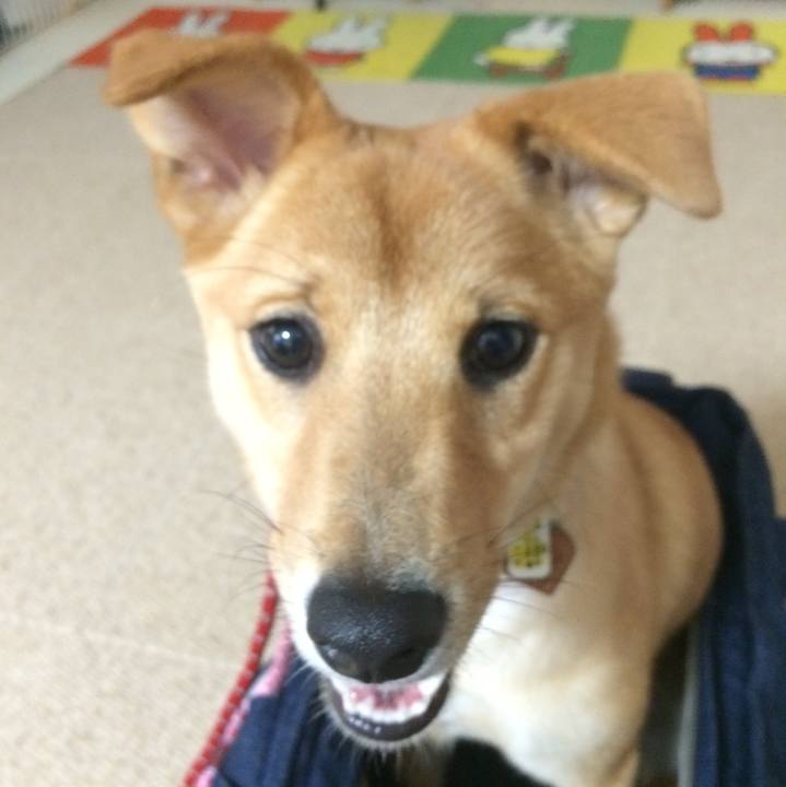 0dfb0574 970d 4b31 912b 3e7fa582a557