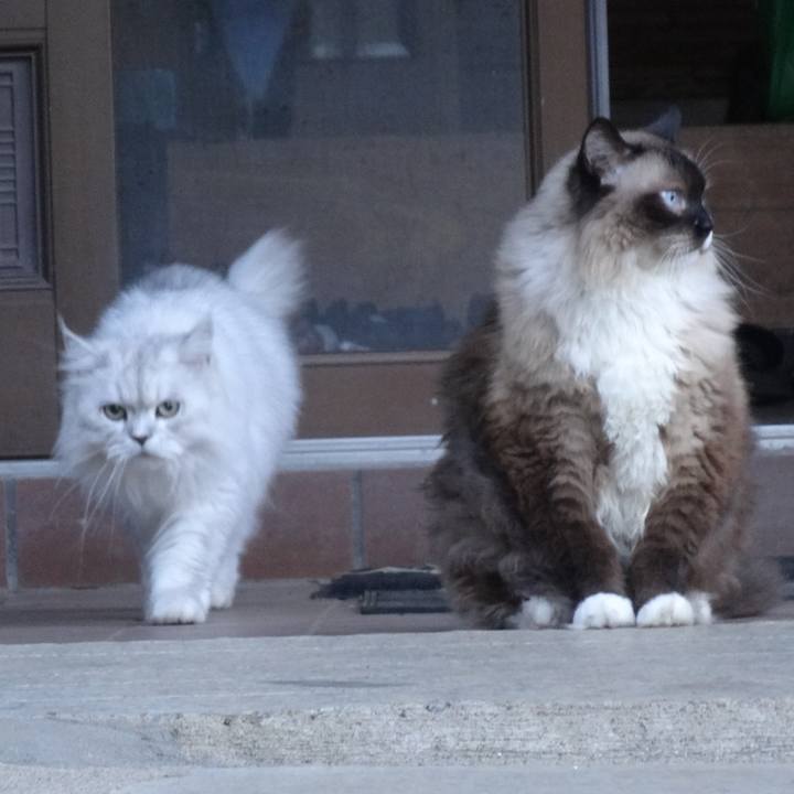 0dfb9e61 603d 491a a12d 49468beabcc8