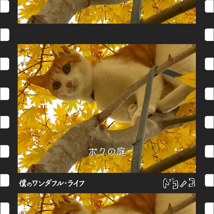 0dfba93e 9e96 48c1 9d3e 94a2e5e7a282