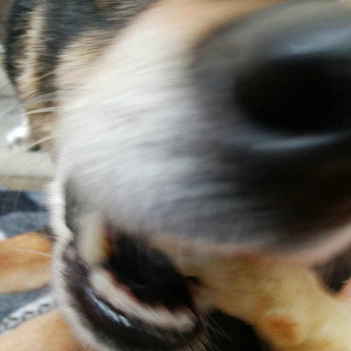 0dfbf4f3 b491 4313 b06e 236e4723ec45