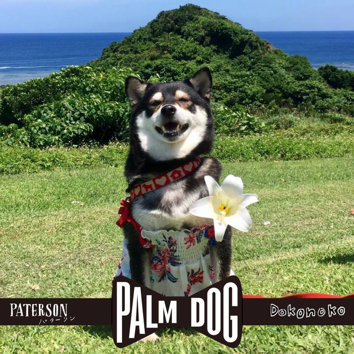 0dfc0433 6b6d 49ff 8929 66f41b9f00d9