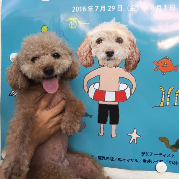 0dfcb5b8 01a0 40c1 8ce5 662576e6ea95