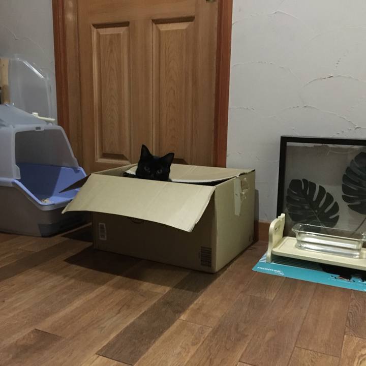 0dfcc5ae 0c03 4299 8fd1 ea01acc648bf