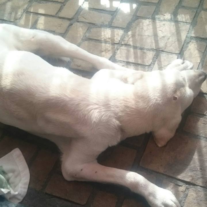 0dfd00cb 74a7 407f bf49 d47d6f37ba6e