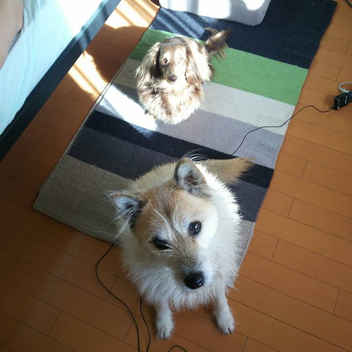 0dfd03e8 9291 4db0 8d71 c7ca3298f017