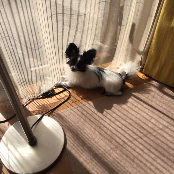 0dfd66ae 61b1 475b a68e ce8eb3a8a597