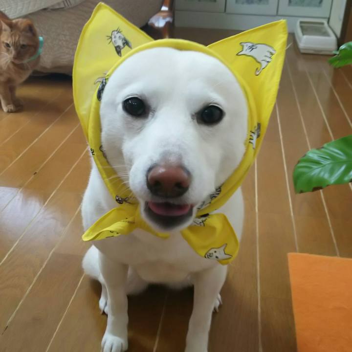 0dfe560d f79d 47be 9170 20d2c63c3167