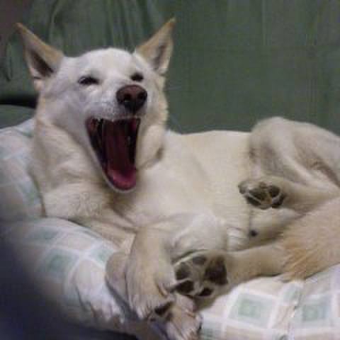 0dfe84f9 dc58 4dc0 8e17 3042b1bf33ac