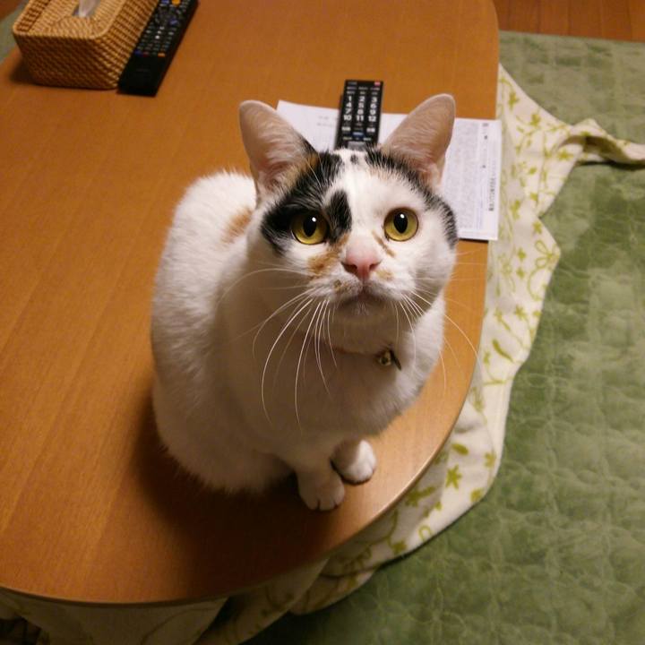 0dfe8b90 f18c 4111 b9f8 a19ac144df19