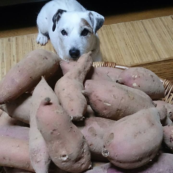 0dfe962b 1393 40e2 a5ef 299a3b897959