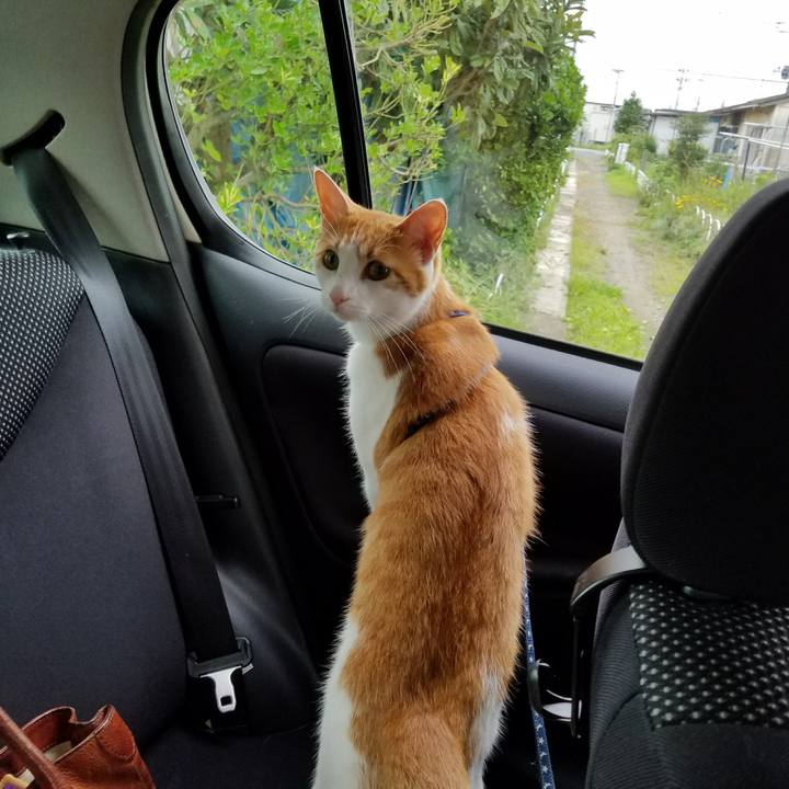 0e00082d 5e48 4999 9d95 01bcbff9cc33