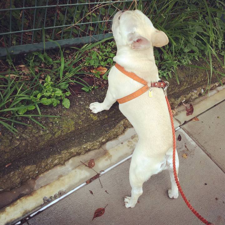 0e004176 d881 4553 975d 463cc892d360