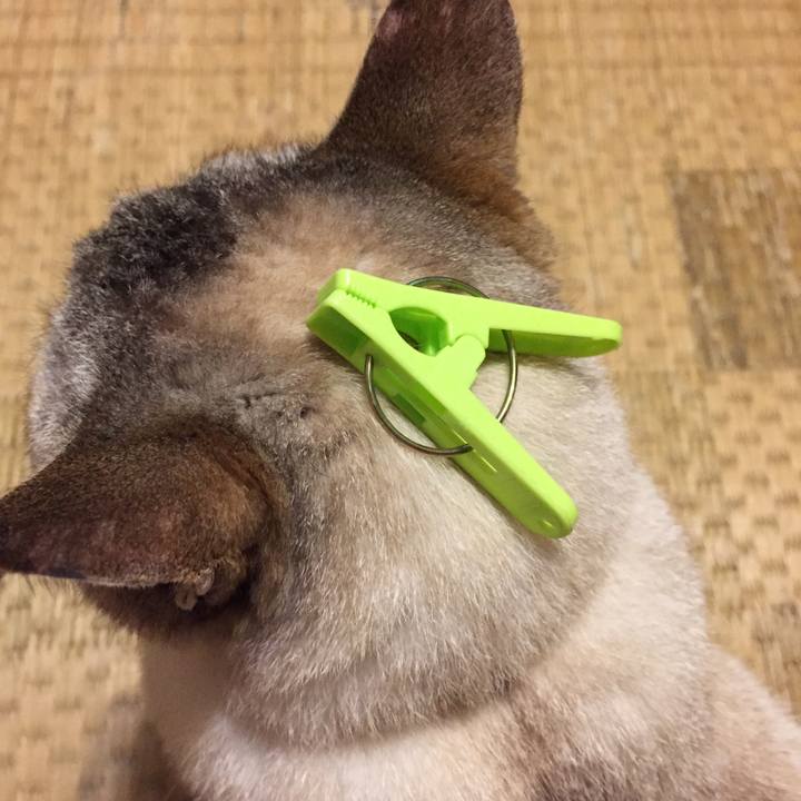 0e00833f 2595 468c 840d a3ee115052b7