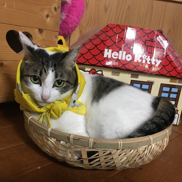 0e008b95 2a0c 4c0e 8085 d46699f8c227