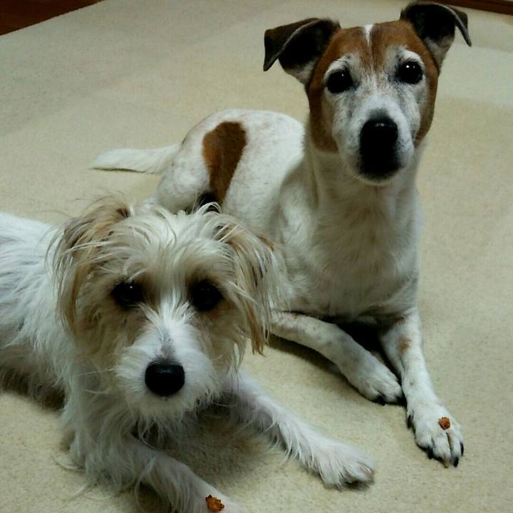 0e00e653 4bb0 4703 ab41 0b28e4729e59