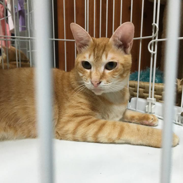 0e01276b 9e0a 4b05 bcf2 d98c98cee772