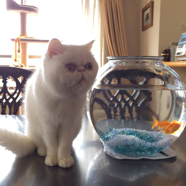 0e018f03 8548 4a6c b706 292f7a1eed5b