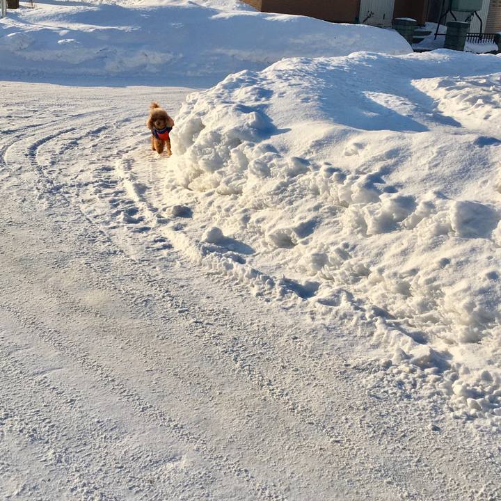 0e01b1cb 0fd3 4bd2 82c1 b9ce90c99bec