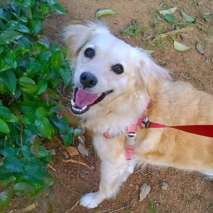 0e02190a 111a 4e29 a80c 6e8f93bbabe2