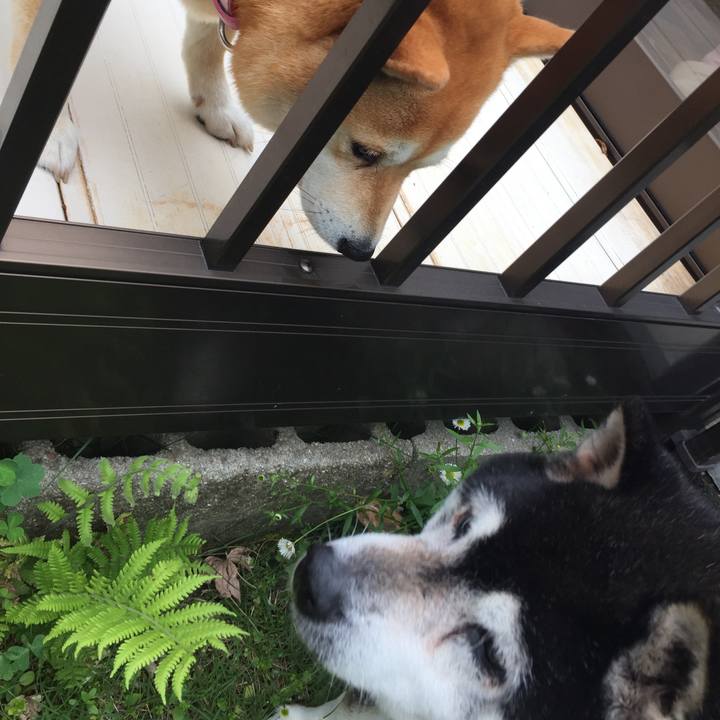 0e0264d5 909c 4f4c 9389 c93df8adc422