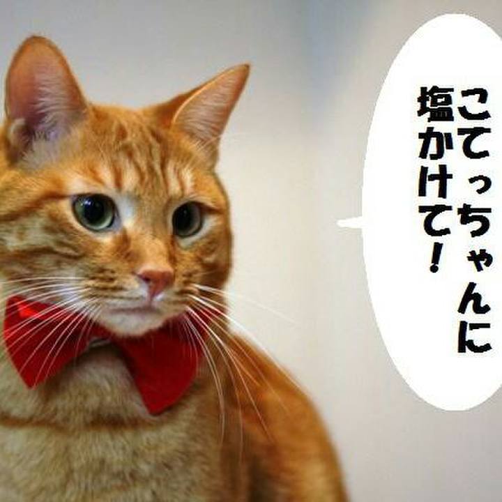 0e02a737 ab6f 4059 b67f 08caaa3fda18