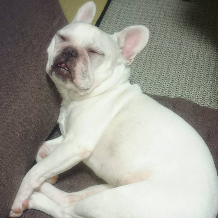 0e030225 dfb2 4e6e bb1a f0af1c7905a3