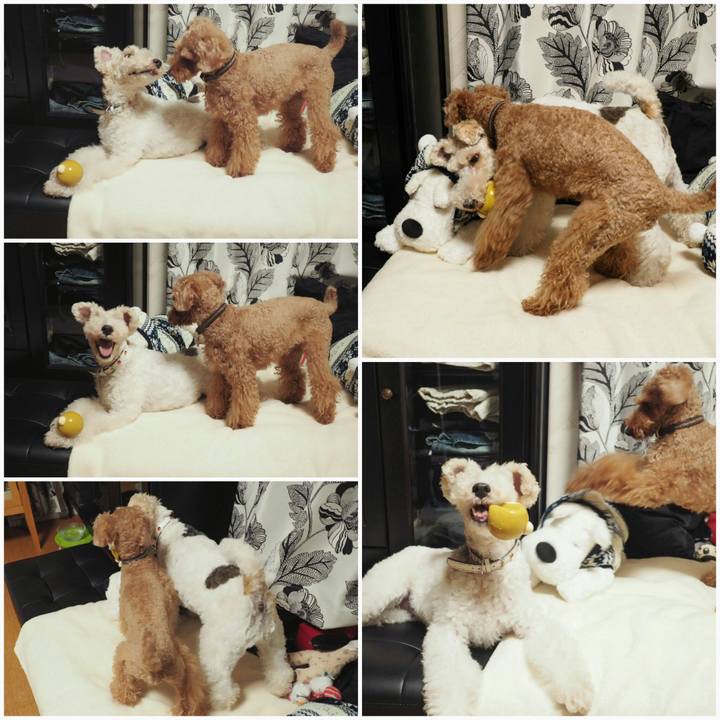 0e0339f5 8d79 46d7 904d 4268b46491c5