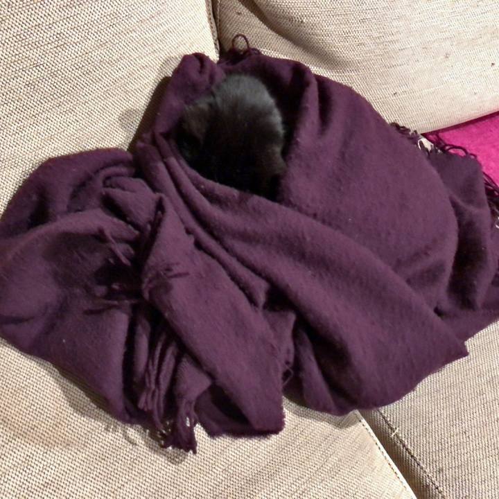 0e0377ba e555 4735 8351 ef0b16f6ff1e