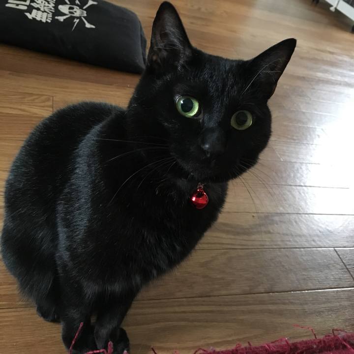 0e03c246 2a63 42da 8efd 7346384ff4da