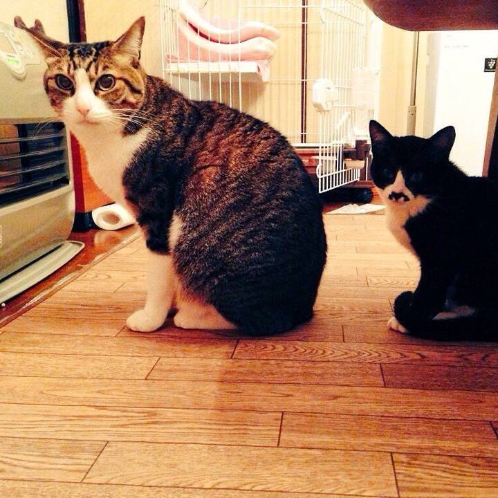 0e03e450 fb49 497e 9ad6 b72b778e4444