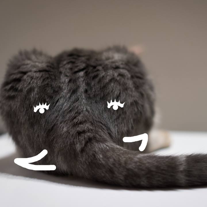 0e040214 4292 430e a07e 0d48ea436d14