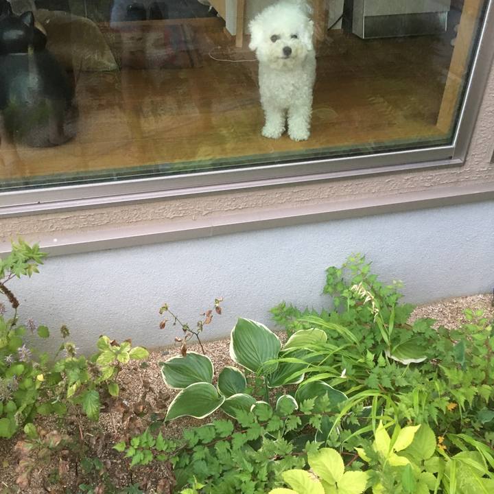 0e04ad9c 490f 4c0b 8094 9a8ccce8ce54