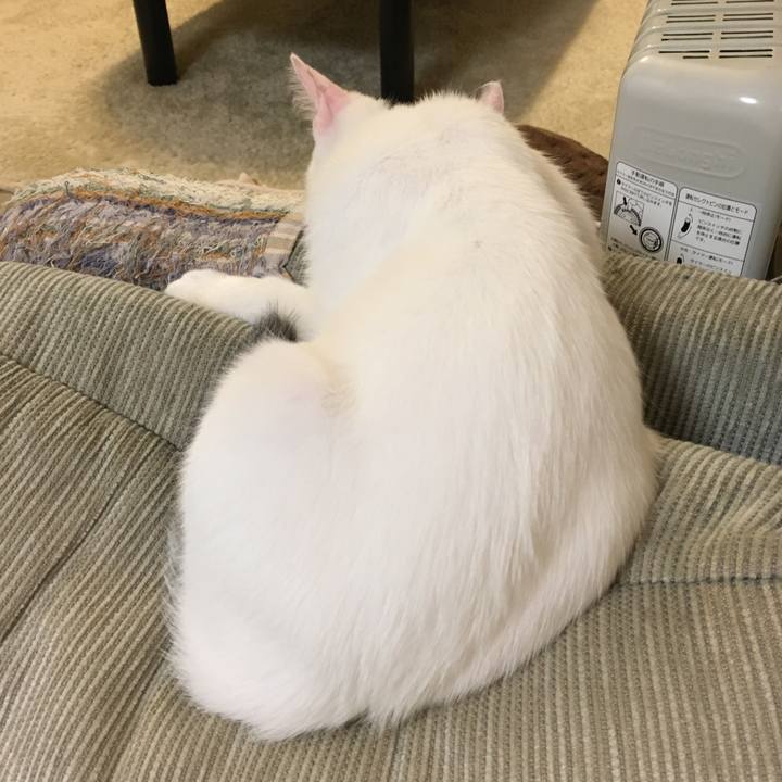 0e04cbab 2c16 42f4 b34f a2bf25f47eab