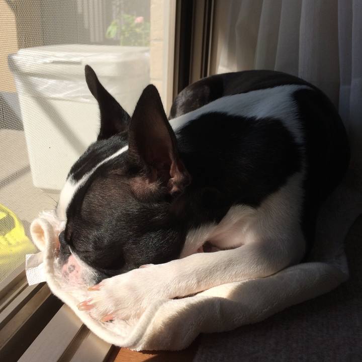 0e06bc51 fa20 496f aae9 610cb2449318