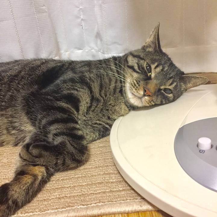 0e072339 ae34 4c46 92e7 7d41572544d3