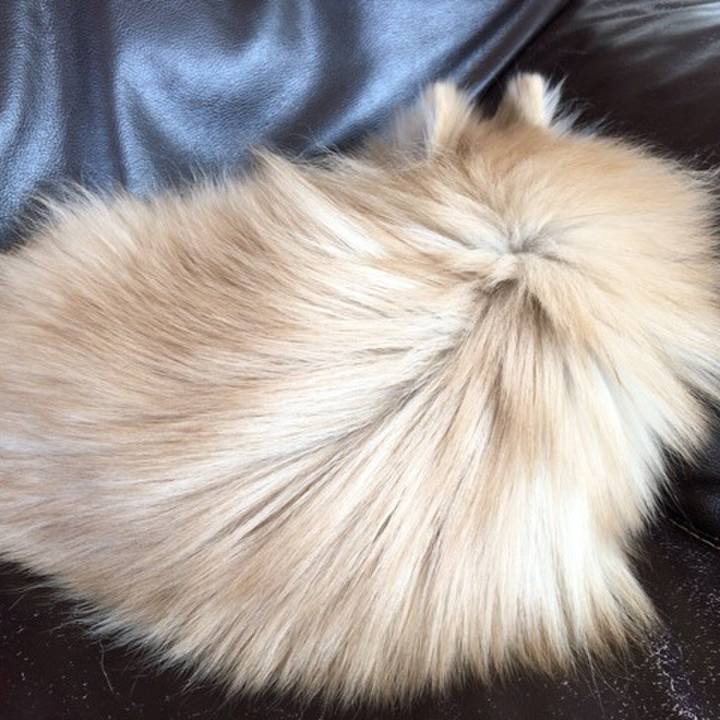 0e079435 5da7 417c 9a93 552ab485f0b3