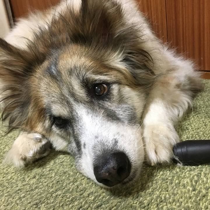 0e0860ed 1a73 45b6 8b56 4a39989acd3c