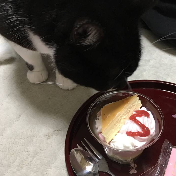 0e099391 d18d 4e6d 9feb 987f2821db12