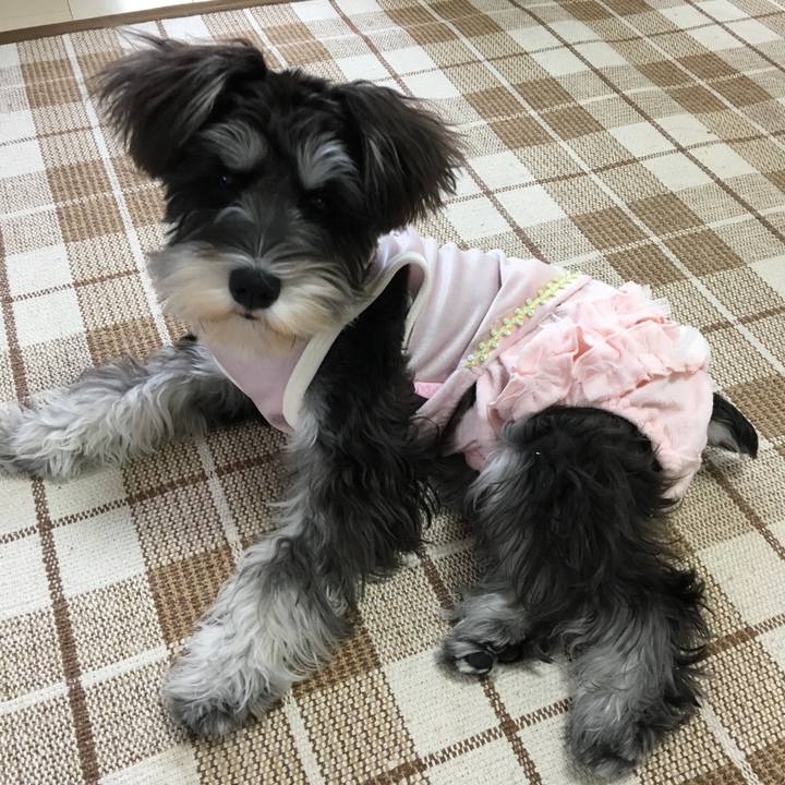 0e09a305 ddb2 4bbd 8e99 304d9f7b90e8