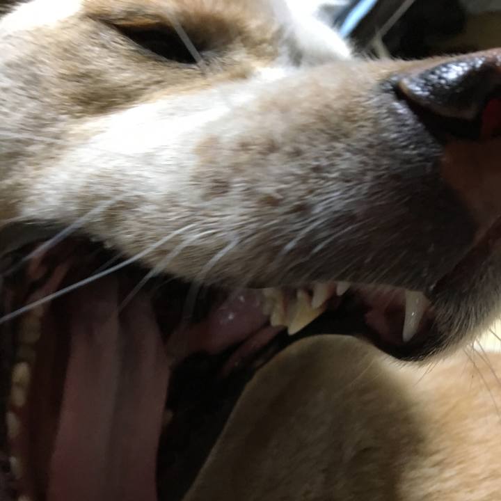 0e09a4a8 ac3a 449f a1d4 f807e40530d9